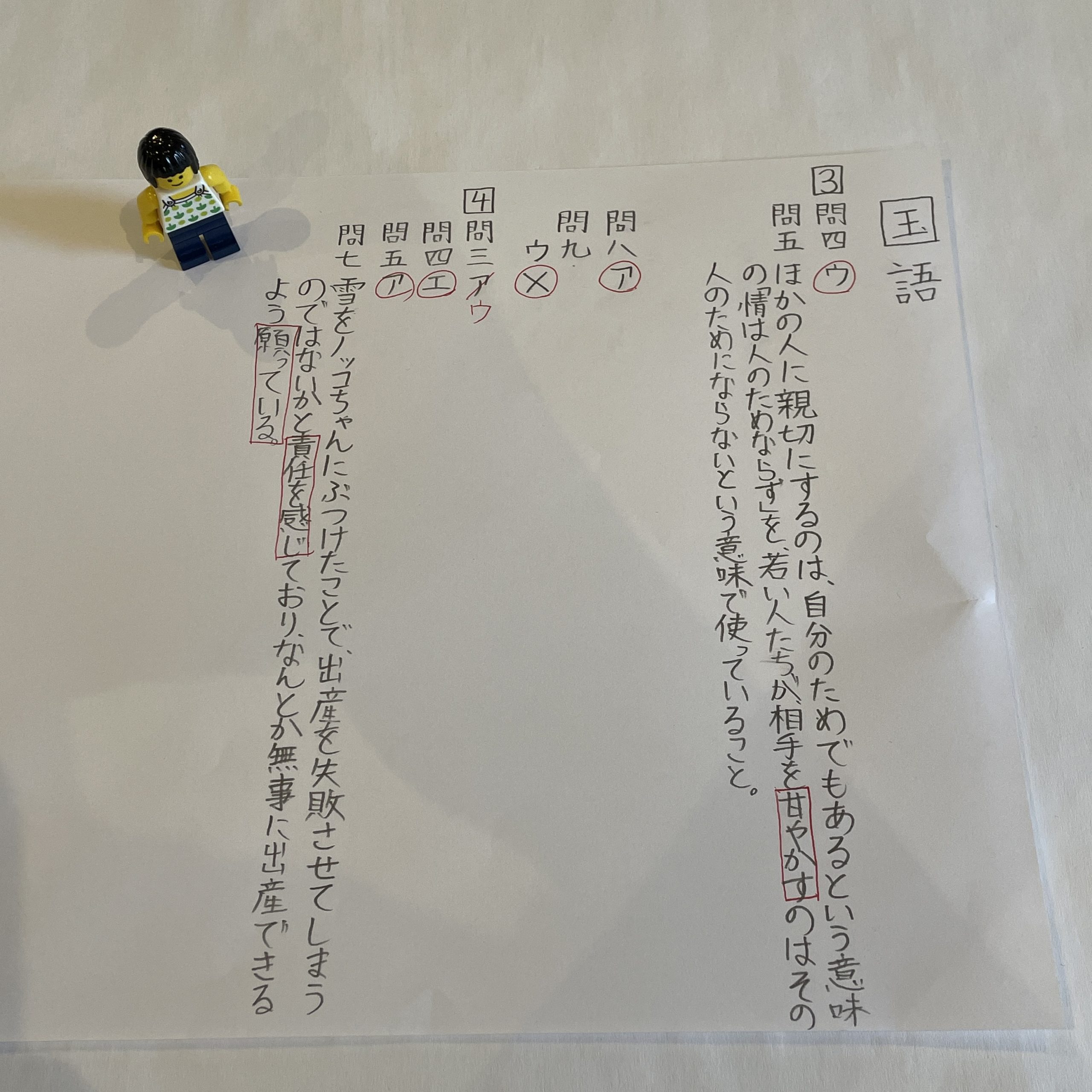 小5/サピックス：2020年11月/マンスリー確認テスト（見直し） | 『戦記』