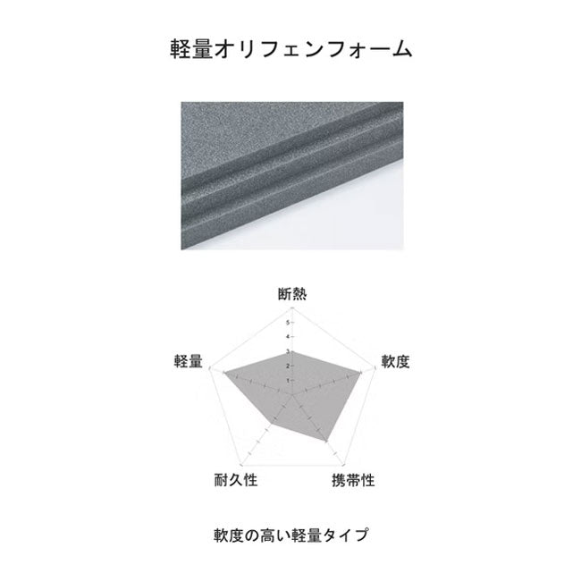 FIELD RECORD フィールドレコード FR-sleeping mat 10UL FR