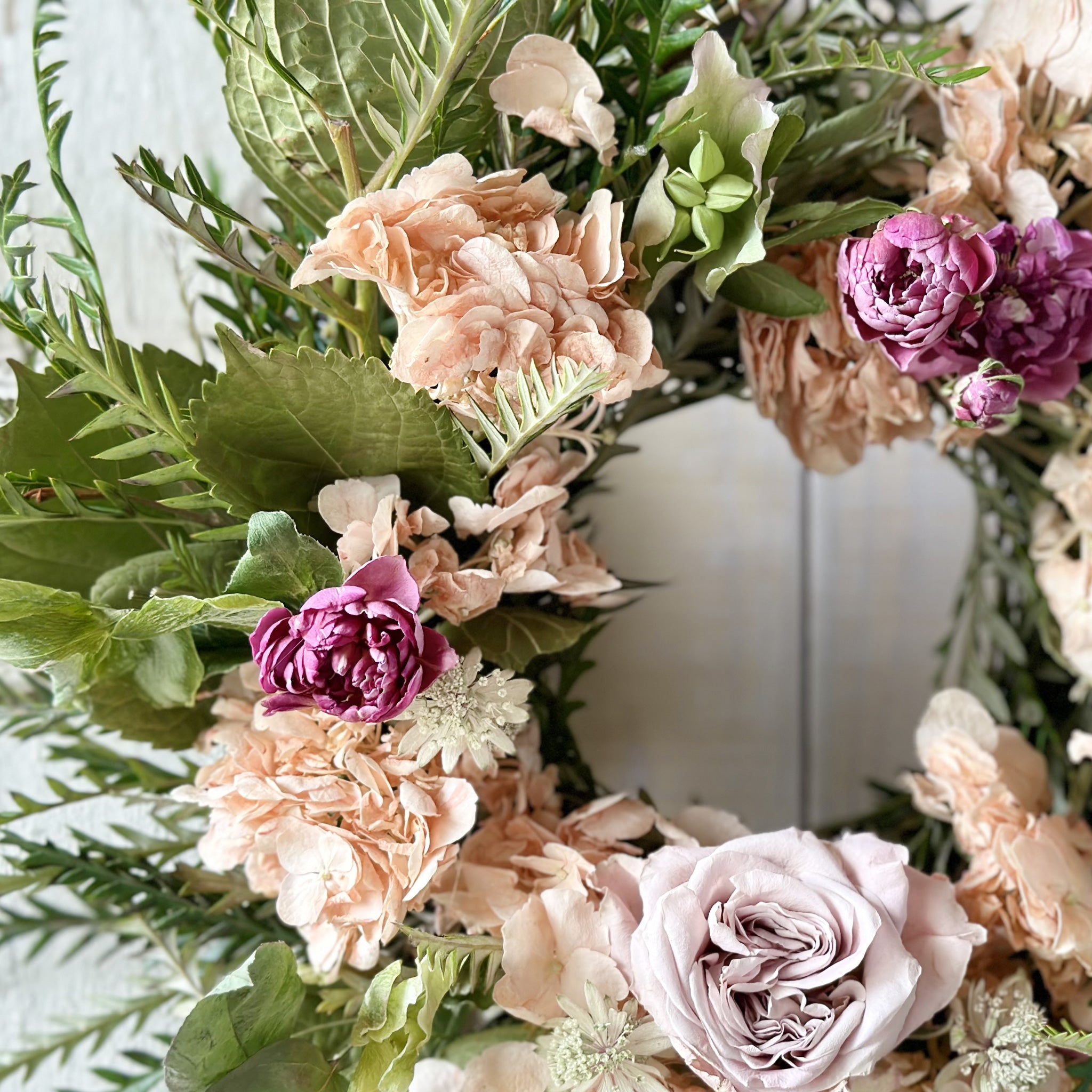 フリーズドライフラワー ゼロフラワーリース「シーズン」｜フリーズ