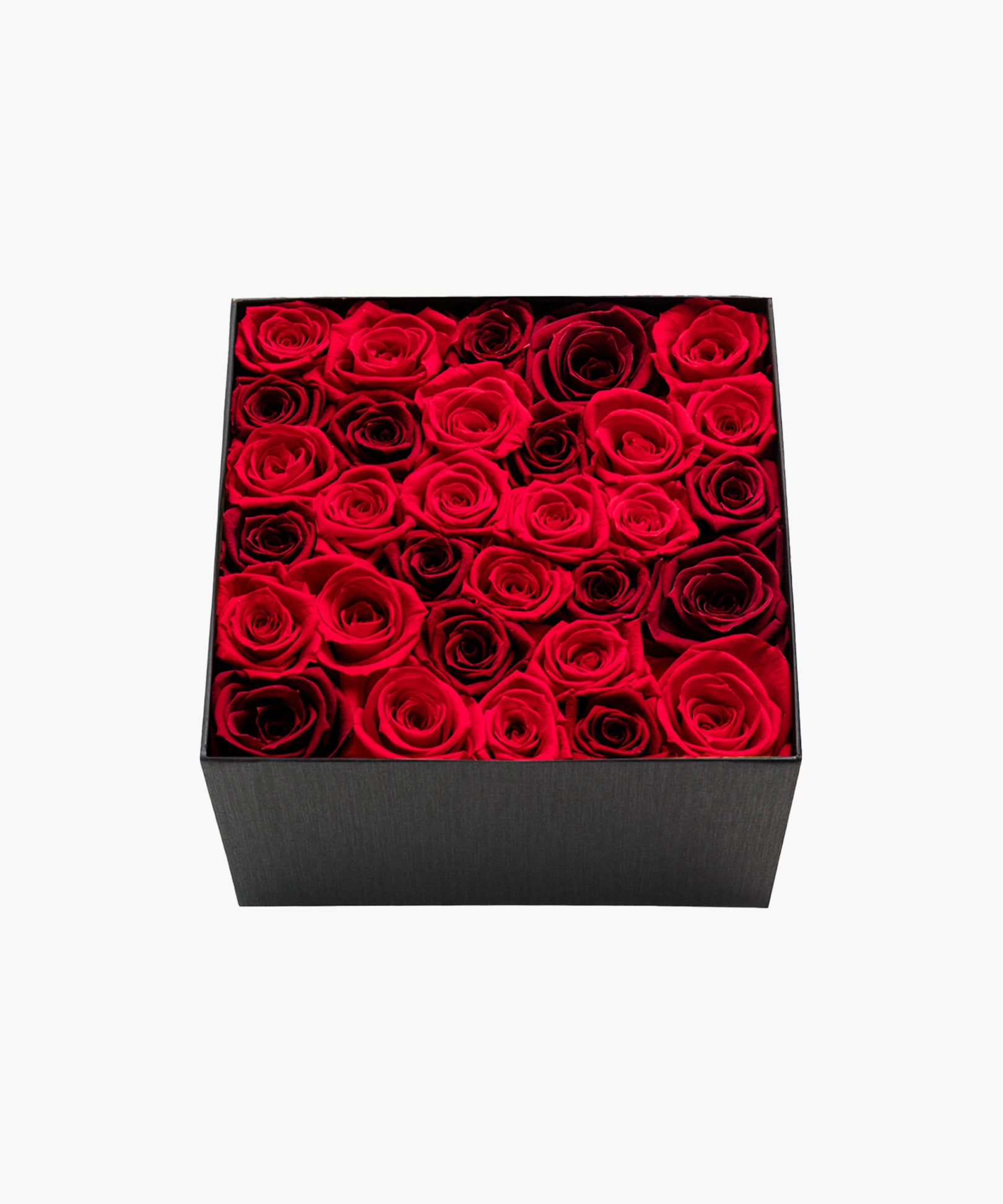 Red Rose Deluxe（レッド ローズ デラックス）