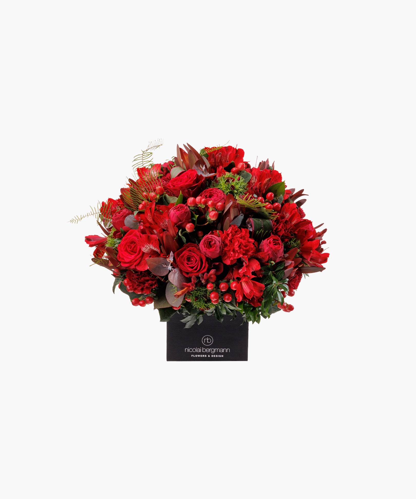 205016192_01.jpg?v=1723022297&