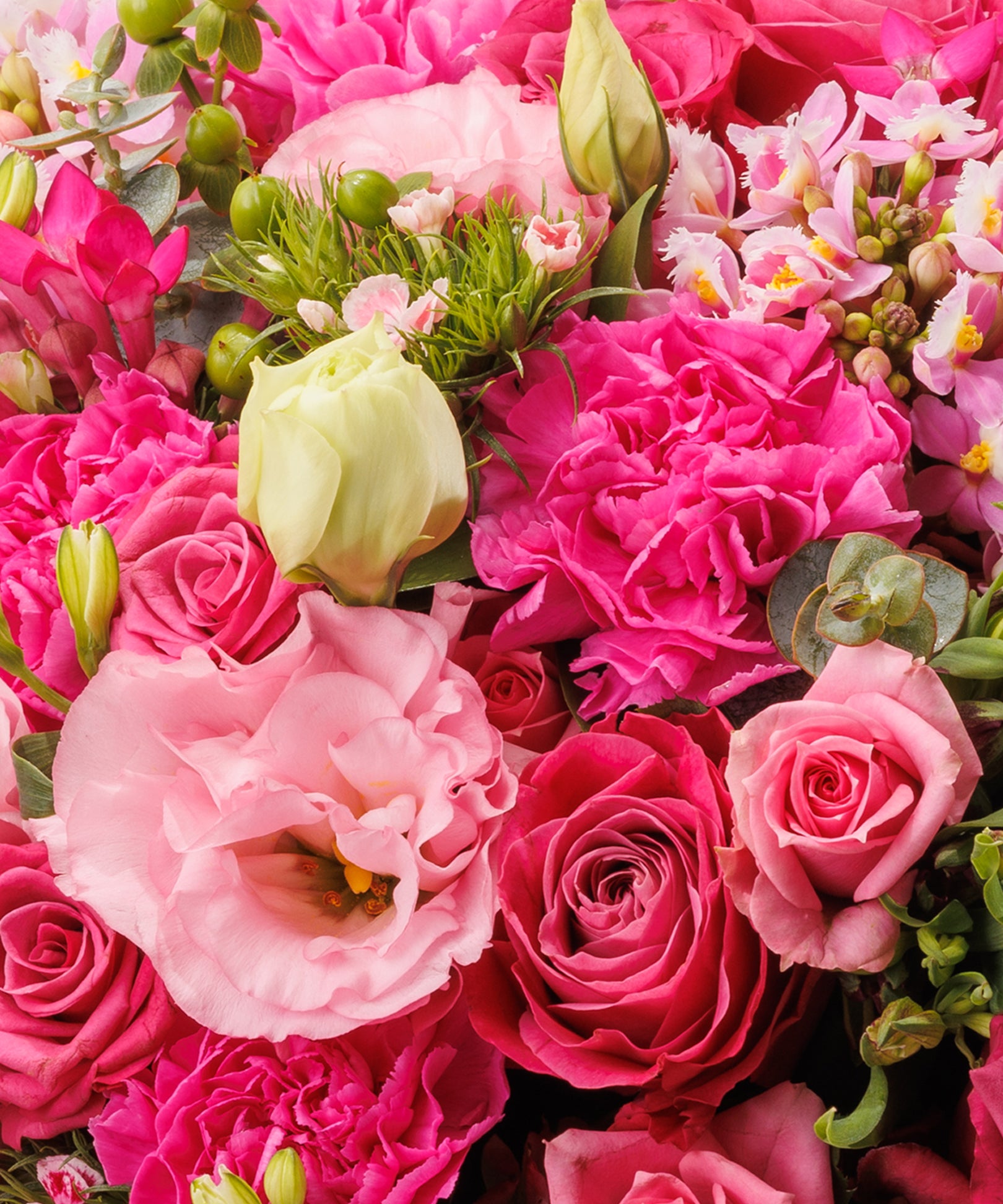 Classy Pink（クラッシーピンク）