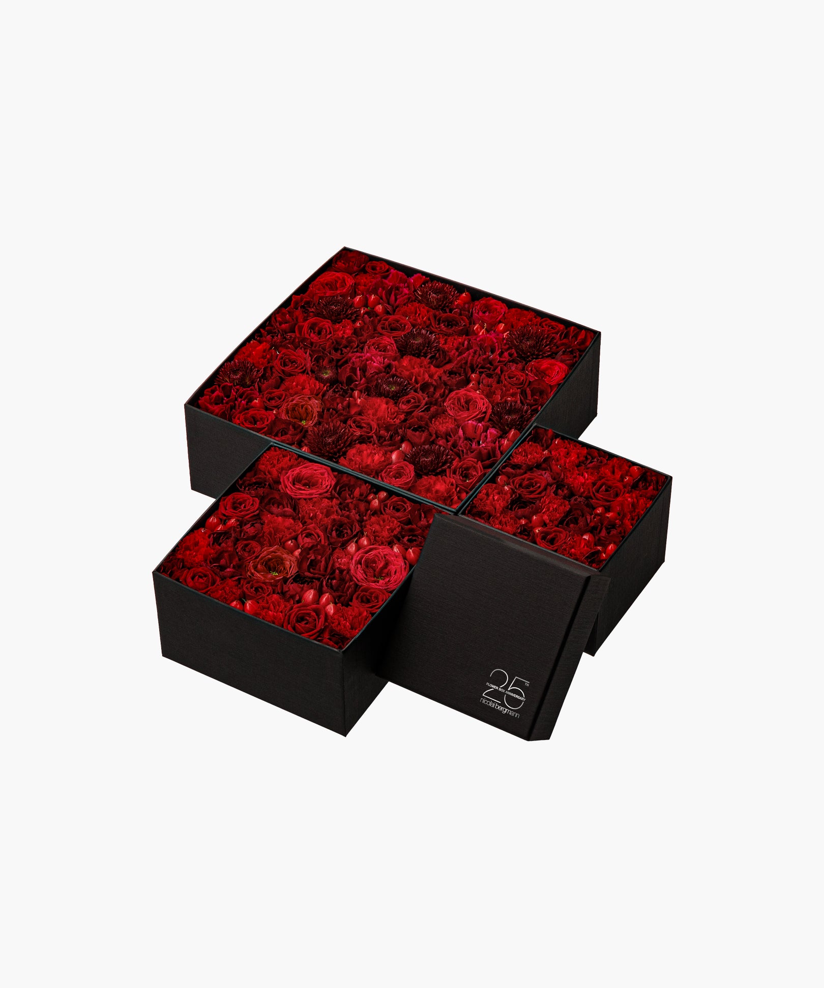 Classic Beauty (クラシック ビューティー)