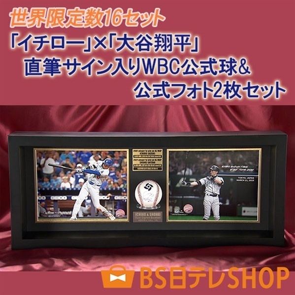 世界限定16セット「イチロー」×「大谷翔平」直筆サイン入りWBC
