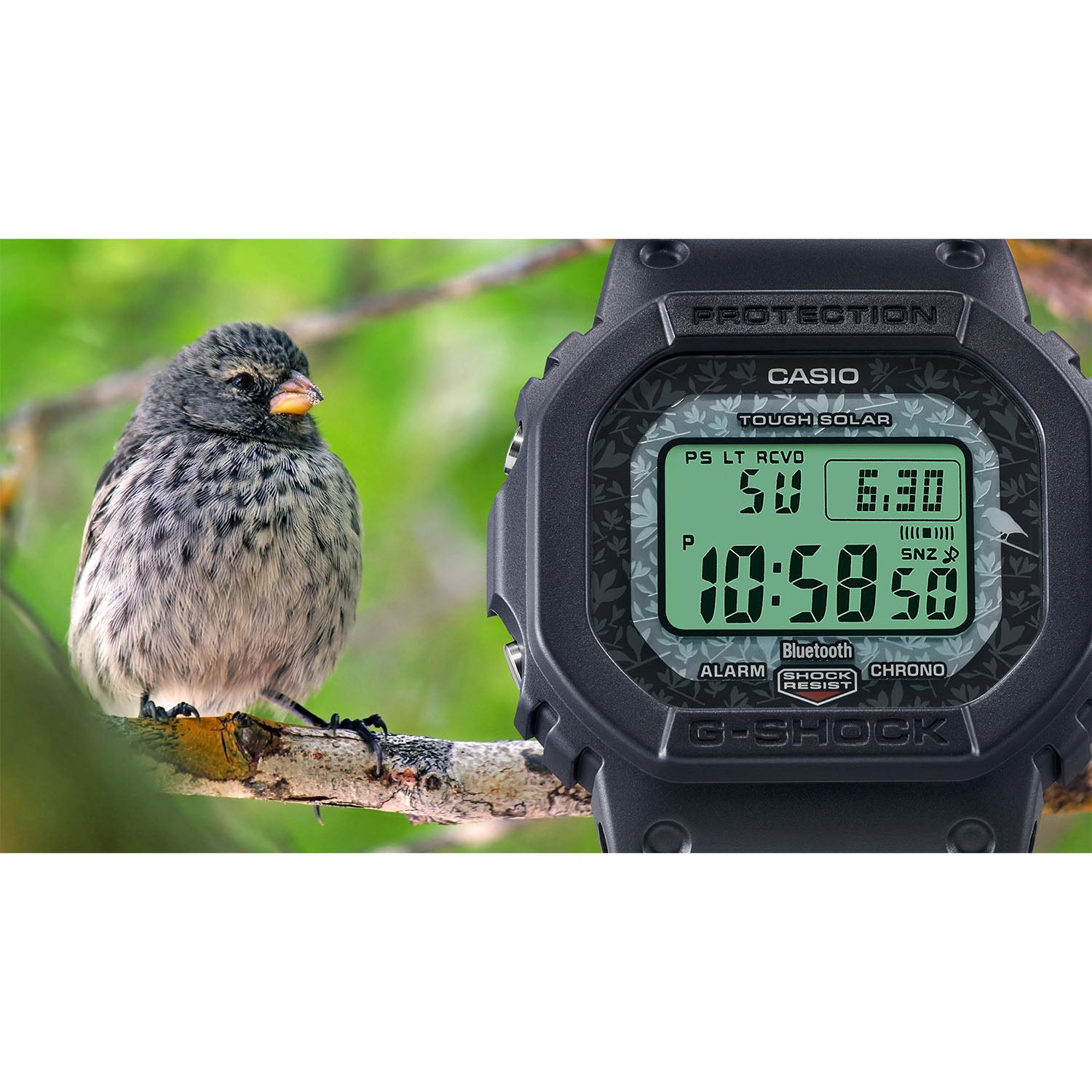 Gショック】チャールズ・ダーウィン財団コラボモデル / GW-B5600CD