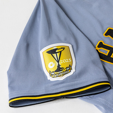 プロコレユニフォーム（ビジター）背番号あり☆受注生産品☆ - 阪神