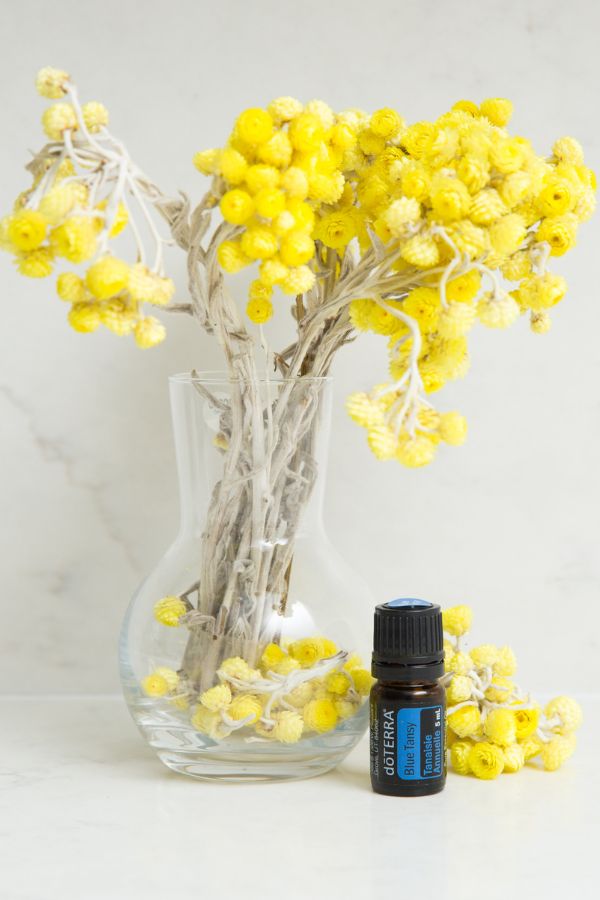 doTERRA Blue Tansy Essential Oil | dōTERRA Essential Oils – Home