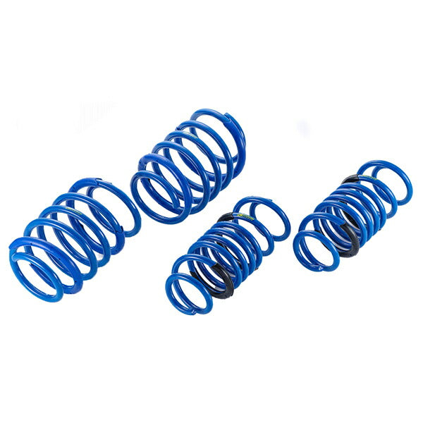 フォレスター SG5 マフラー 柿本改 ハイパーフルメガN1+Rev. B31322