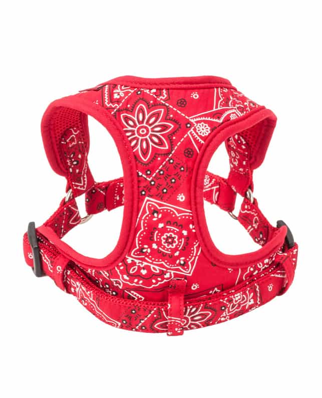 カワノ産業 マイスターソフティハーネス バンダナ（KA-D0221）｜犬用品