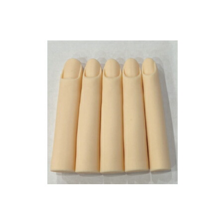 楽天市場】JNEC認定 STモデルハンド 左手 チップ差込式(ネイルチップ