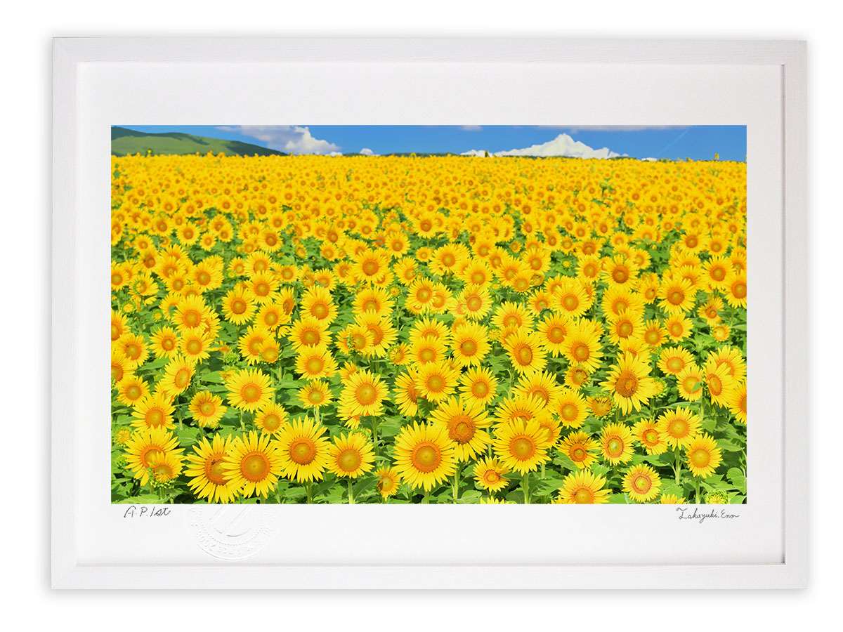 楽天市場】【スーパーSALE半額】版画 絵画ひまわり畑と大木01