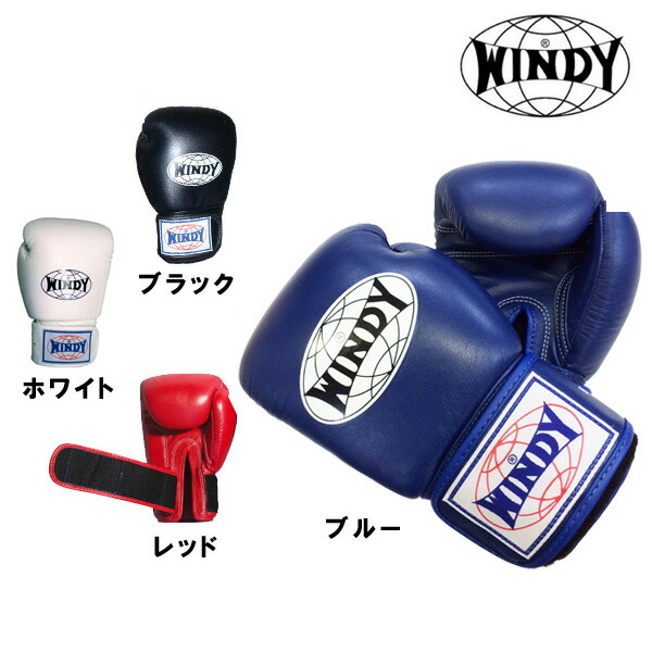 楽天市場】◇格闘技キャンペーン◇ キックミットLサイズ 1個 [WINDY