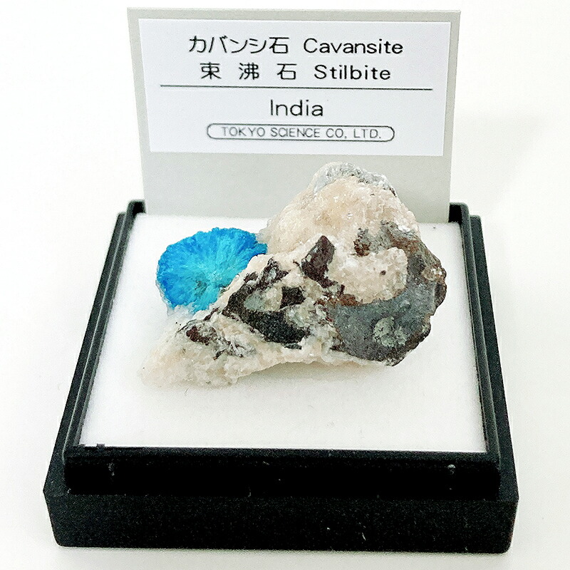 楽天市場】金鉱石 （鹿児島県伊佐市） 鉱物 標本 東京サイエンス ミニ