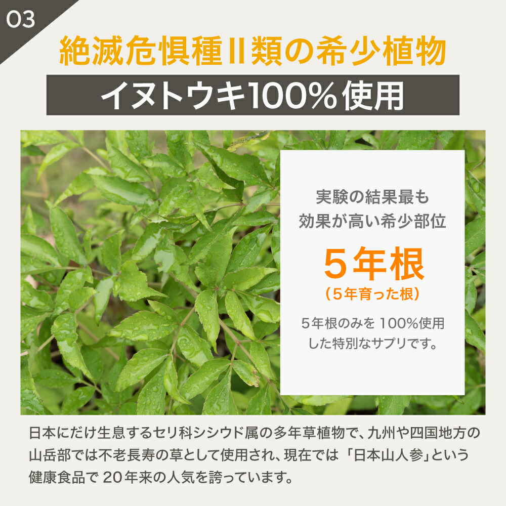 4,950円OFF】 5歳からのケア 『JINパワー100』 イヌトウキ 犬 猫 腎臓