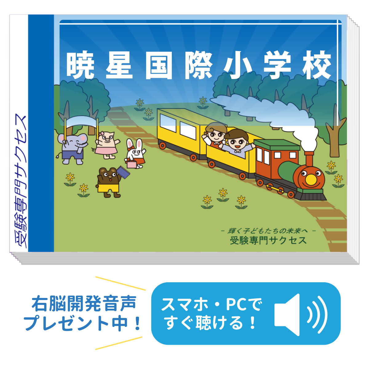 楽天市場】2027 暁星国際流山小学校・合格セット問題集 過去問の傾向と