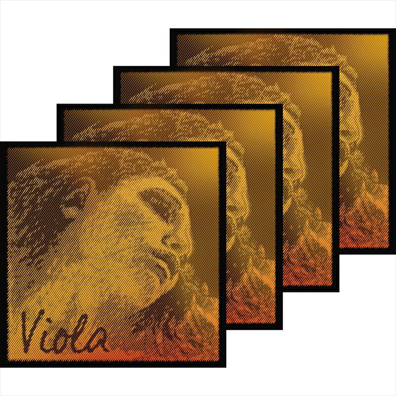 楽天市場】【Evah Pirazzi Gold】エヴァ ピラッツィ ゴールド