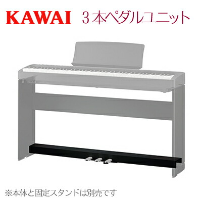 楽天市場】【数量限定！先着で素敵なプレゼントおつけします♪】KAWAI