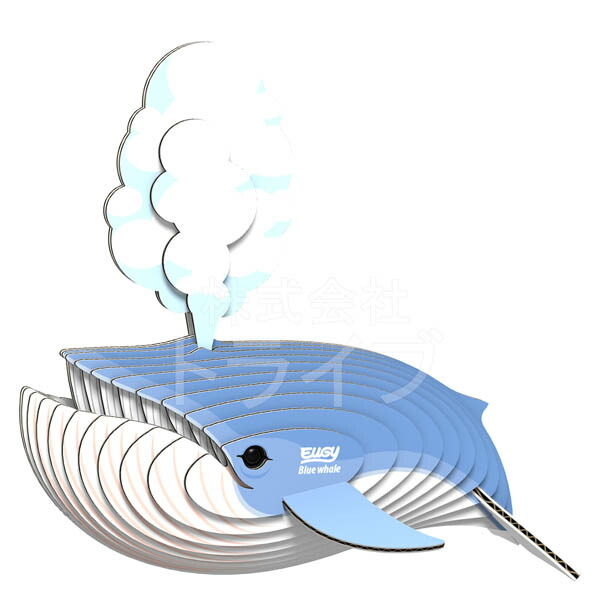 楽天市場】紙製3Dクラフト EUGY 海の生き物セットB シャチ クジラ
