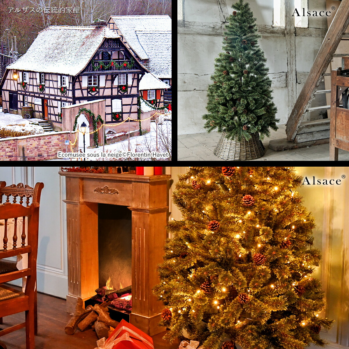 Alsace(R) 正規品】クリスマスツリー 150cm 豊富な枝数 2025ver. 樅