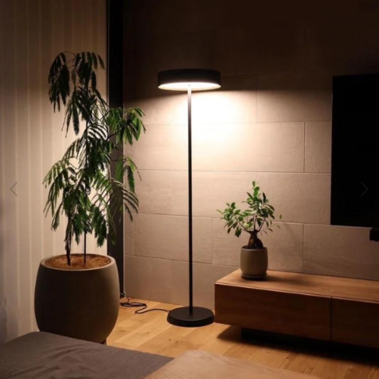 グローLEDフロアランプ | アートワークスタジオ (ART WORK STUDIO