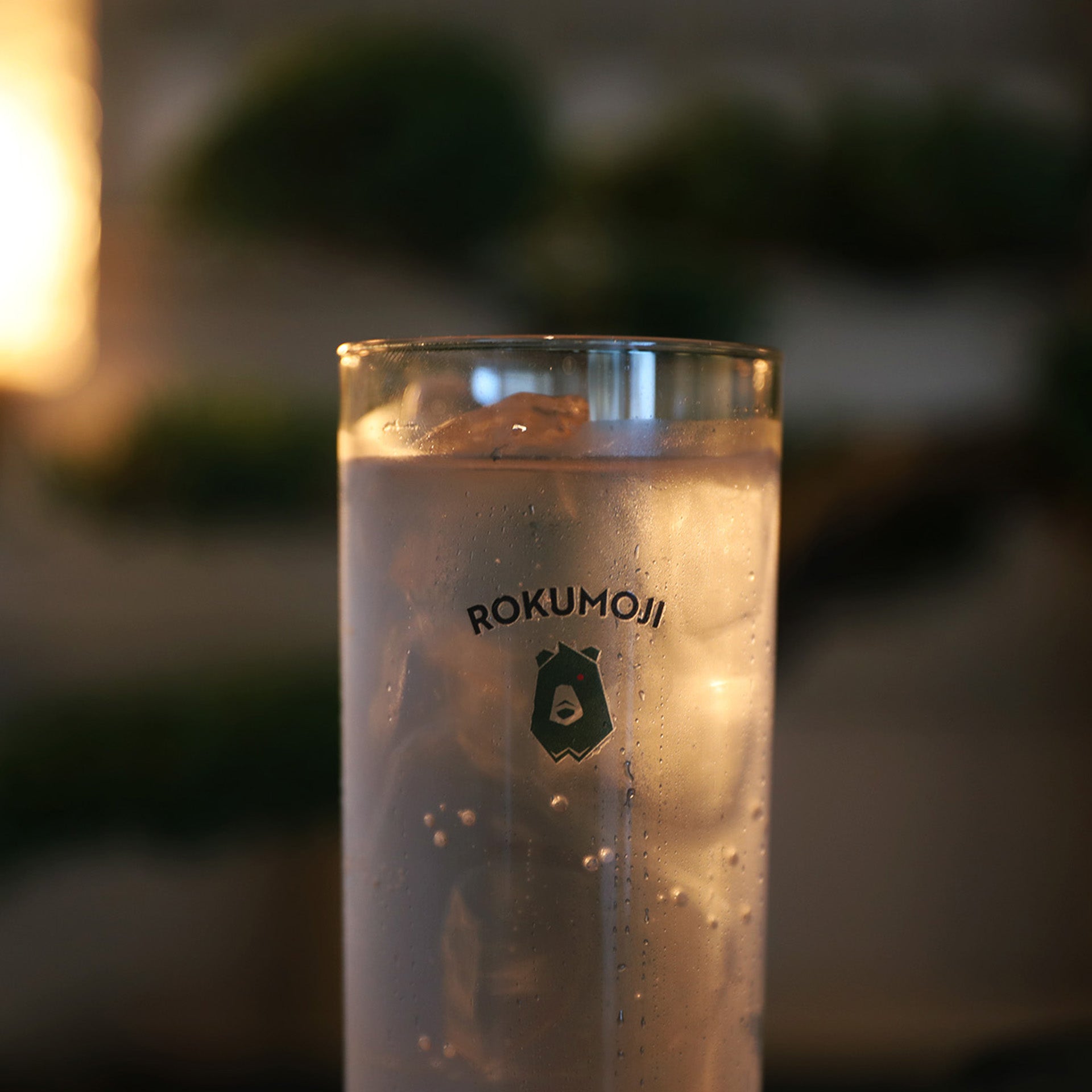 ROKUMOJI Craft GIN Green Planet – ろくもじオンラインショップ