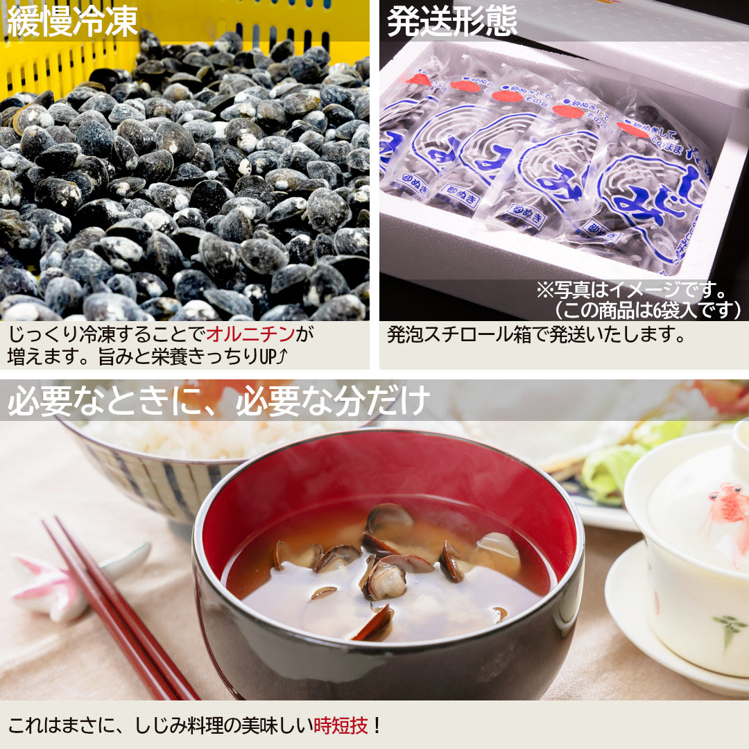 青森県十三湖産 冷凍しじみSサイズ 3kg(500g×6袋入) – 肝助のしじみ