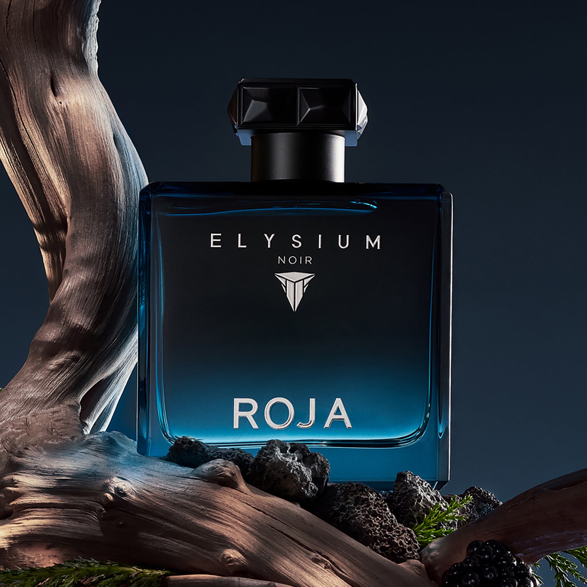ROJA London | Elysium Noir | Shop Rescue Spa