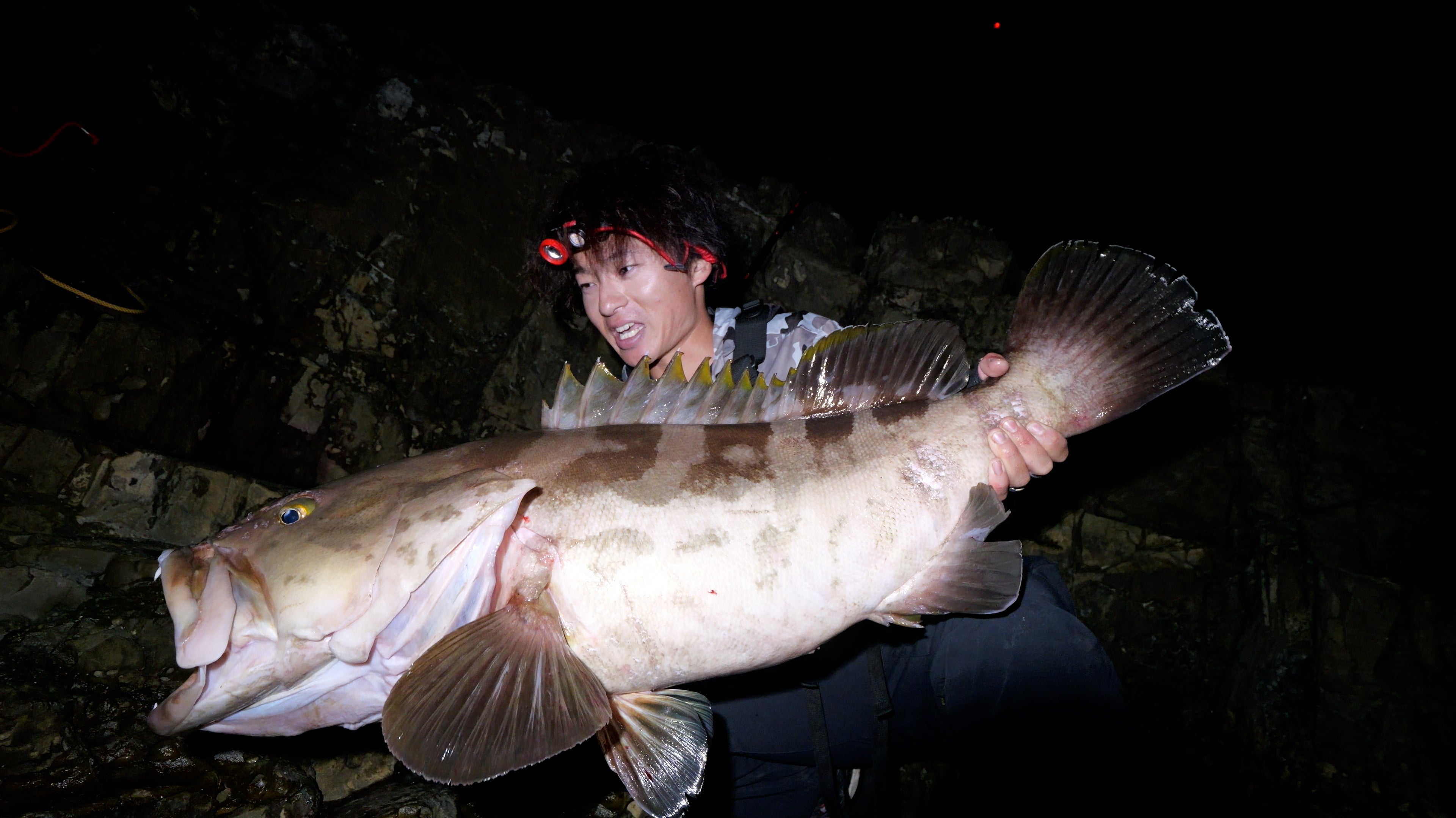 WILD SEEKER 453HH (ワイルドシーカー453HH)