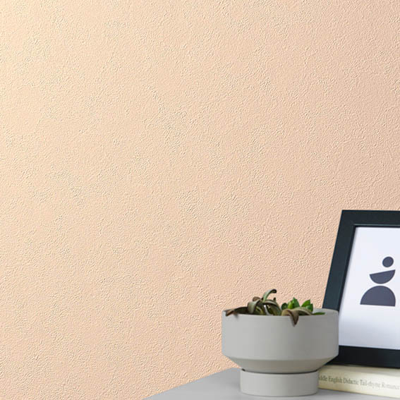 シンコール | STM742 | 2024 TOPMODE