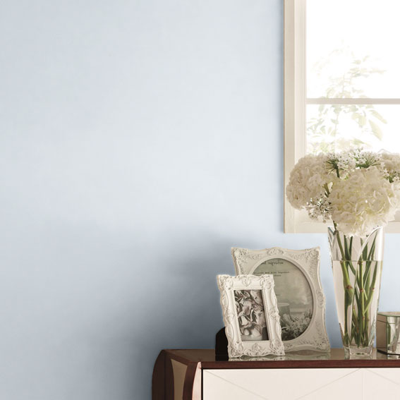 シンコール | BL2927 | 2025 BEST