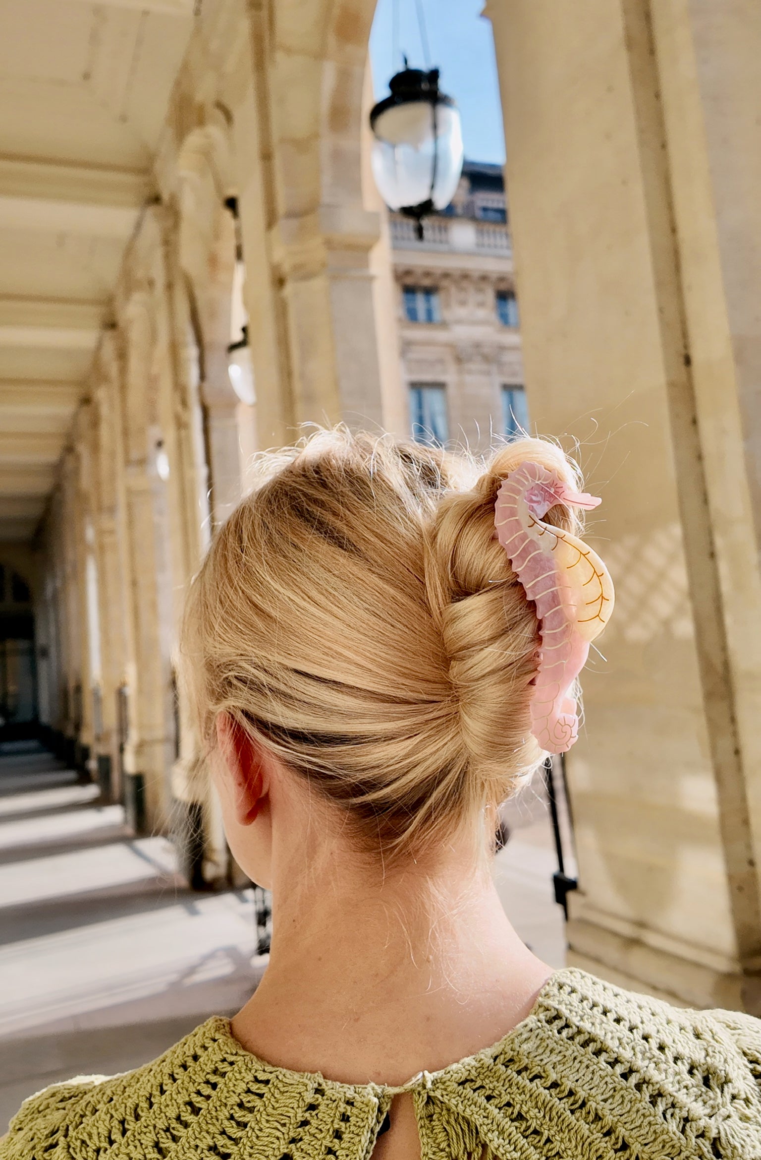 Hand-Painted Seahorse Claw Hair Clip | Eco-Friendly – Solar Eclipse