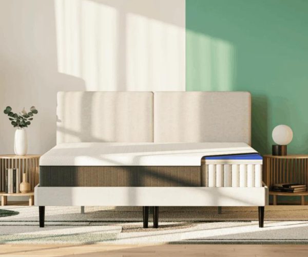 エマ・ハイブリッドV2 シングル | Sleepee