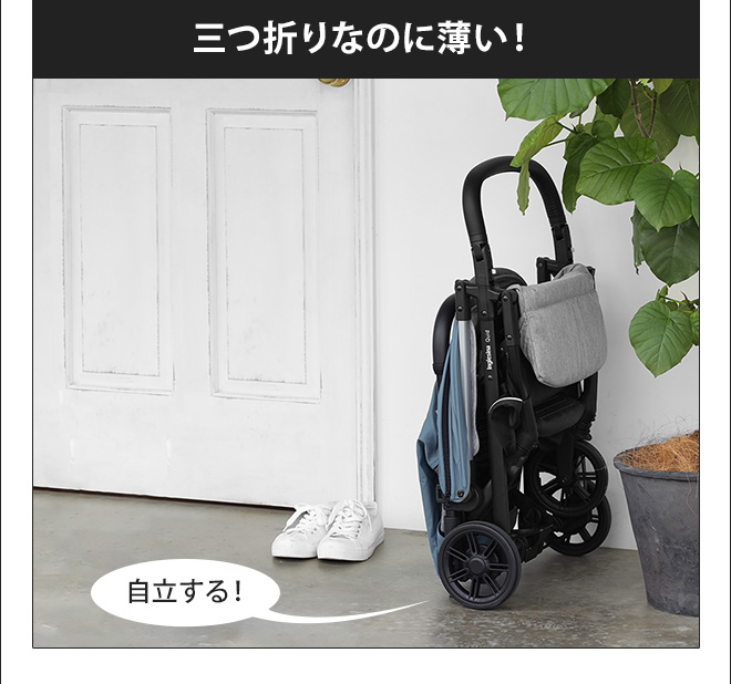 イングリッシーナ クイッド | セレクトショップ・AQUA（アクア）