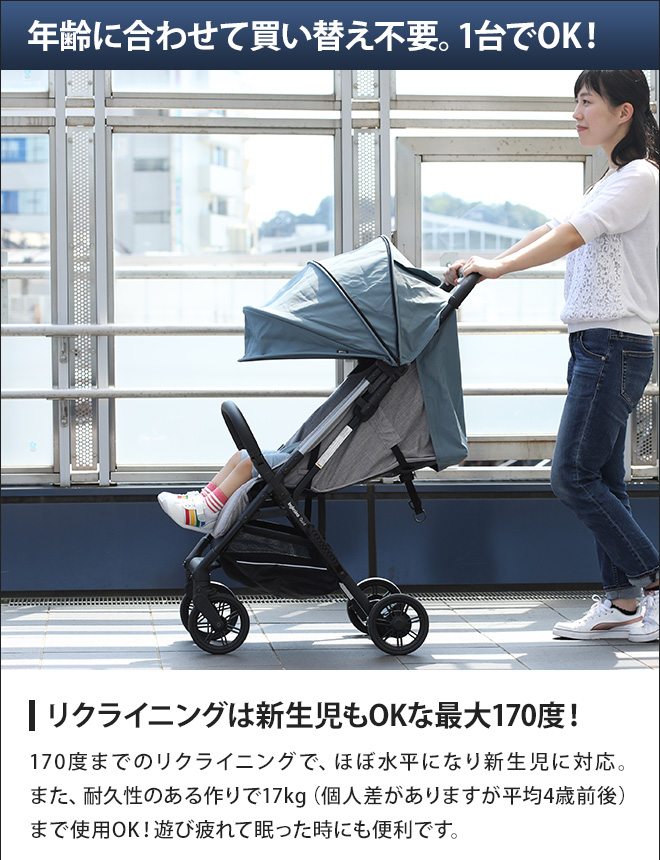 イングリッシーナ クイッド | セレクトショップ・AQUA（アクア）