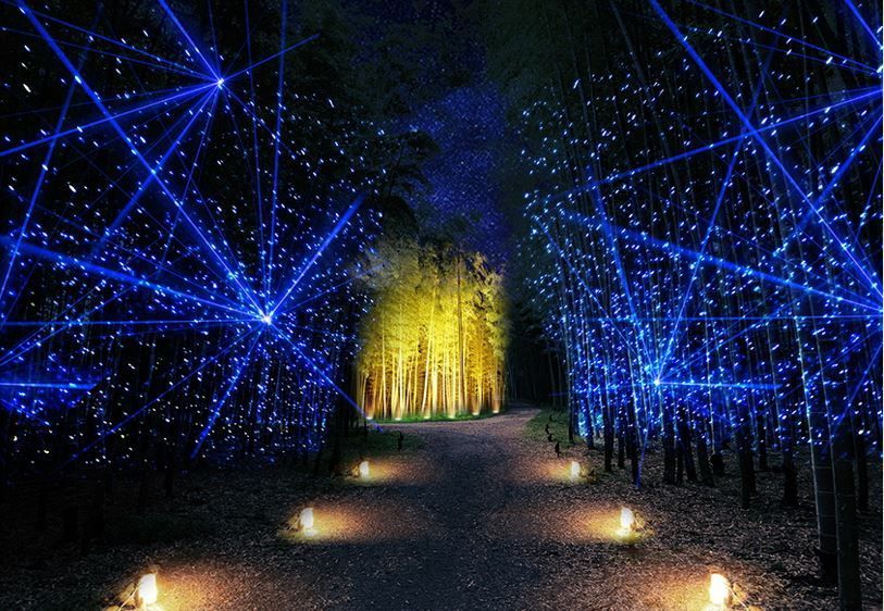 若竹の杜 若山農場 Bamboo Winter Lights 2025｜イルミネーション特集