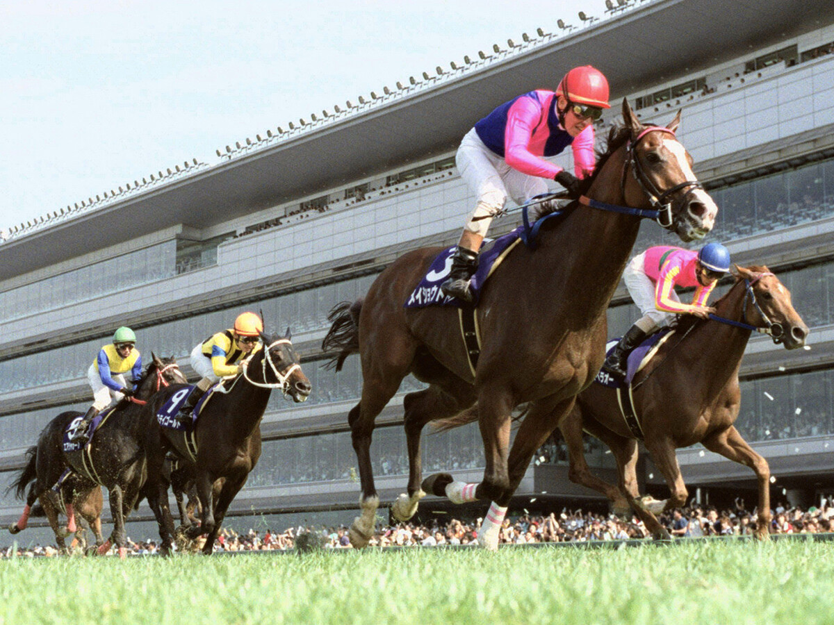 ウマ娘」でもおとなしい性格のメイショウドトウ。宝塚記念で思い出す