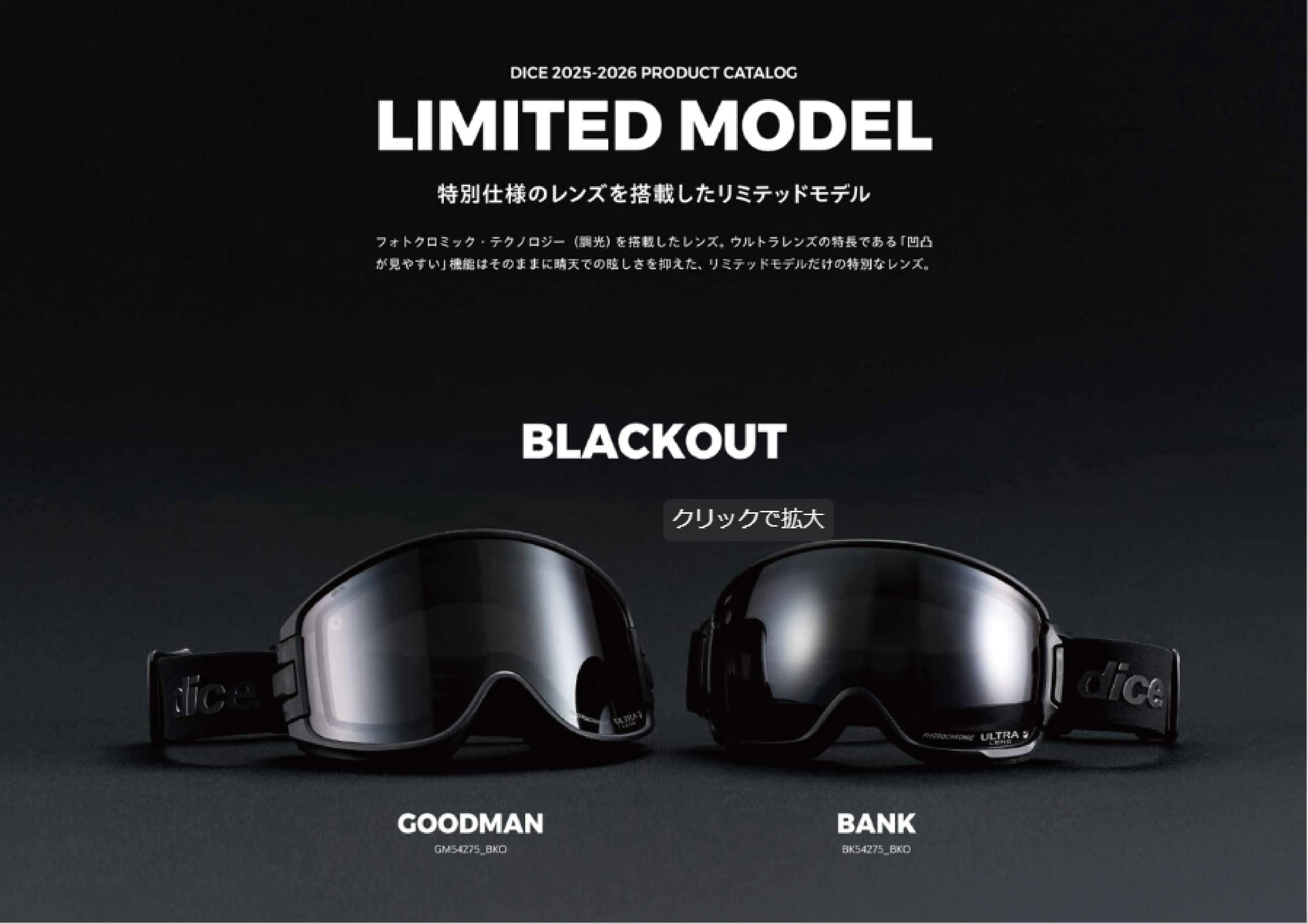 スノーボード ゴーグル ダイス DICE BANK（数量限定） WHO 25-26 送料