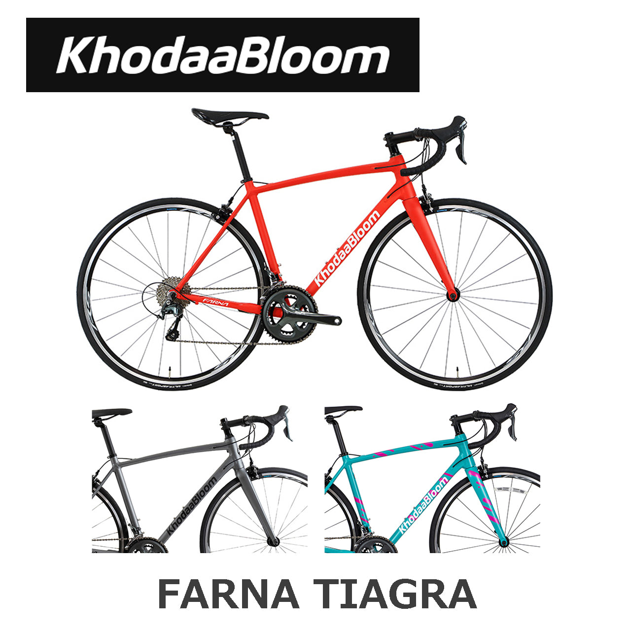 新色追加！サイクリングをこれから楽しみたい方にお勧めなロードバイク