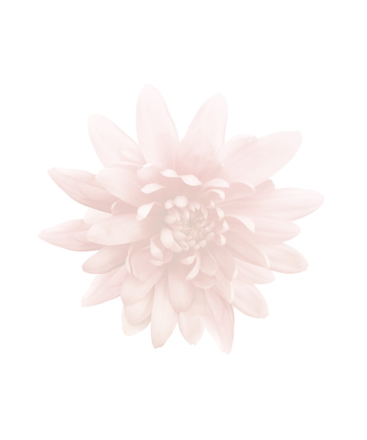 peu a beaute】アームサポーター(Lサイズ ブラック): ヨガウェアLAVA