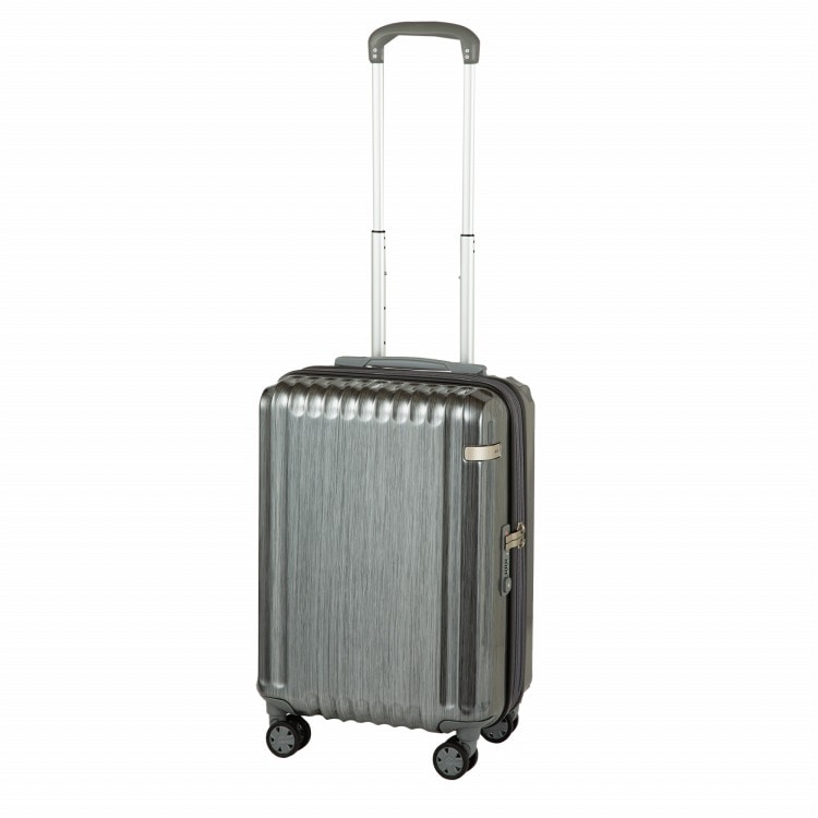 ace.／エース パリセイドZd エキスパンド機能 機内持ち込み 33L/40L