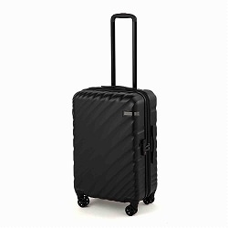 ACE オーバル2 スーツケース 機内持ち込み 拡張機能 36L/43L 05911(01