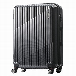 WEB限定】 ACE クレスタ スーツケース 83/93L エキスパンド機能 06318