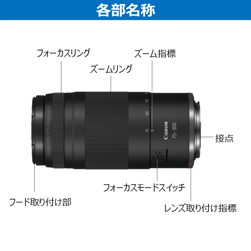 RFレンズ RF75-300mm F4-5.6 ：通販｜キヤノンオンラインショップ