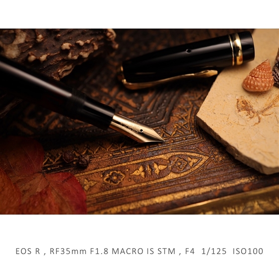 RFレンズ RF35mm F1.8 MACRO IS STM+プロテクターセット【26年春：5千