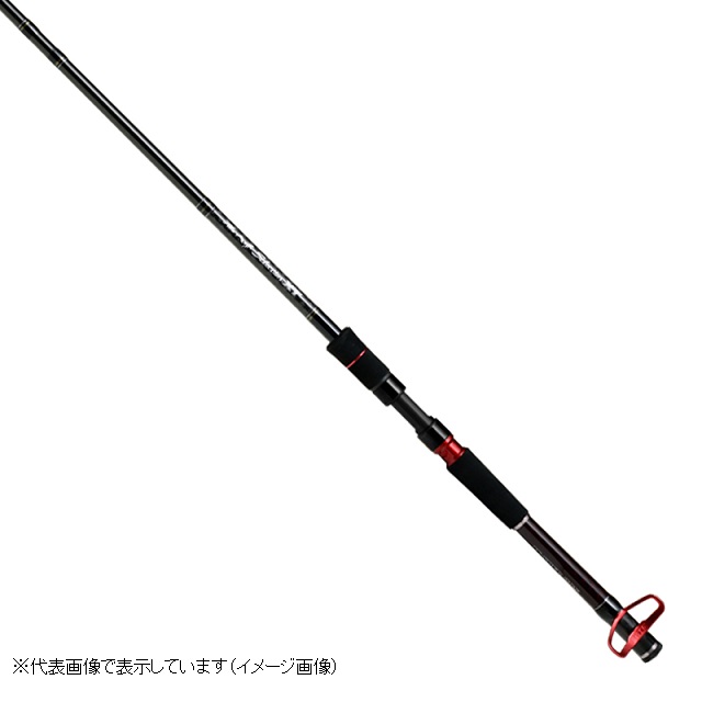 黒鯛工房 THEヘチセレクション XT S-SPEC 285: 竿｜釣具