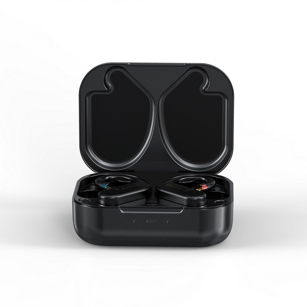 在庫限り】FIIO UTWS5 2025 2PIN FIO-UTWS5-25-2PIN – エミライ