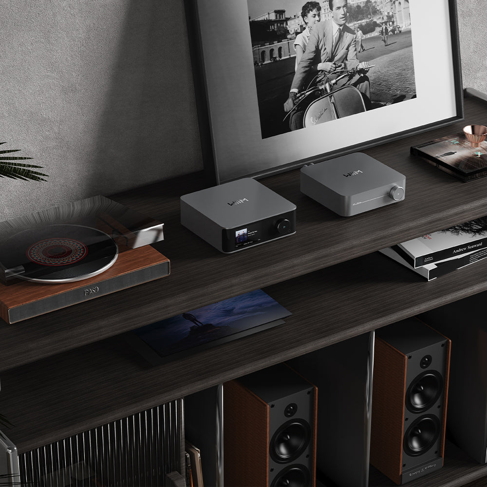 WiiM WiiM Ultra – エミライダイレクトストア