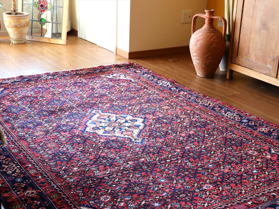 キリムスタイル / 部族絨毯 トライバルラグ223×155cm ハマダン イラン西部