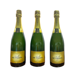 エリーズ・ブジィー含むシャンパン 3本セット 楽天市場】シャンパン3