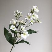 セルフポートレイト 3Dフラワー ペプラムトップス 総レース 切替 花柄